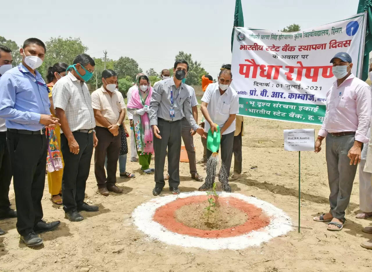 पौधे जीवन का आधार, पौधरोपण के बाद देखभाल की लें जिम्मेदारी : प्रोफेसर बी.आर. काम्बोज
