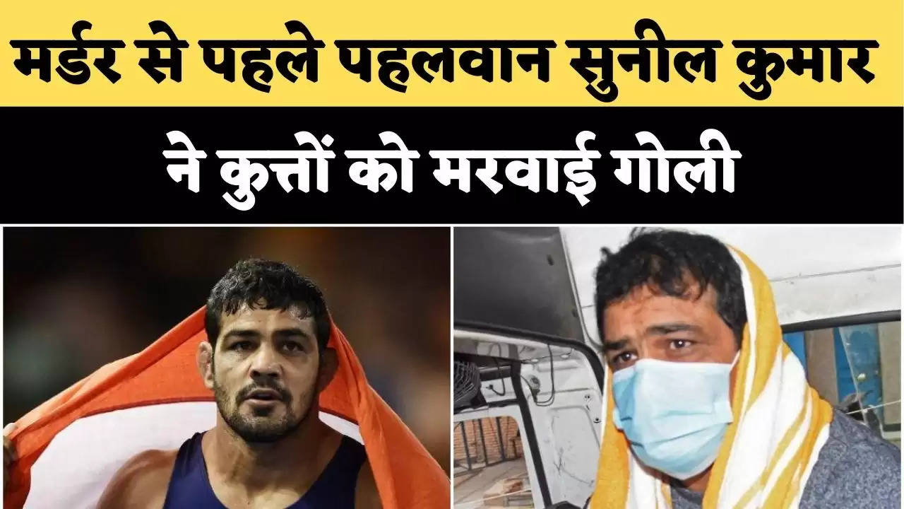 Delhi Sushil Kumar News मर्डर से पहले पहलवान सुनील कुमार ने कुत्तों को मरवाई गोली