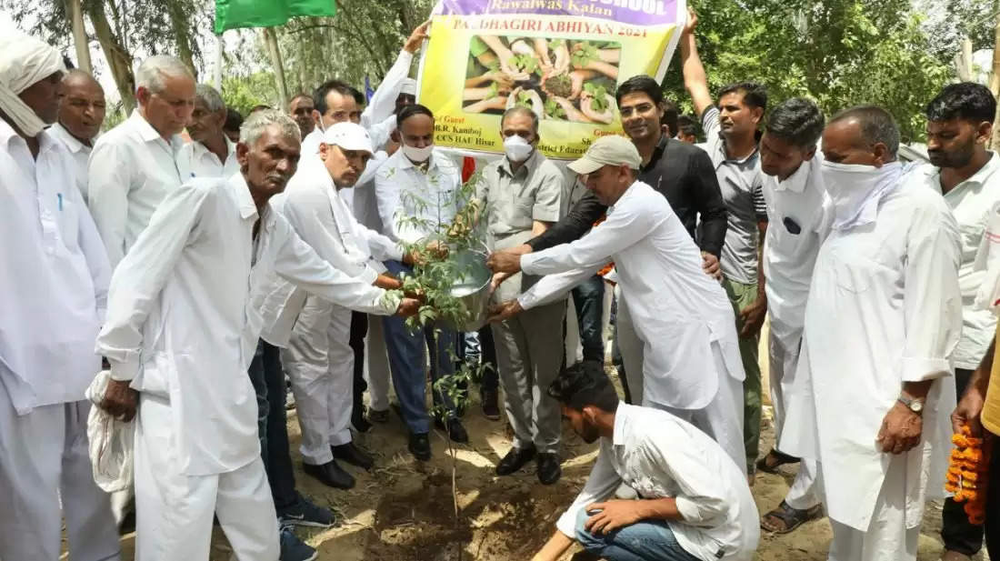 पौधे लगाने के साथ ही उनकी देखभाल की जिम्मेदारी भी लें : प्रोफेसर बी.आर. काम्बोज