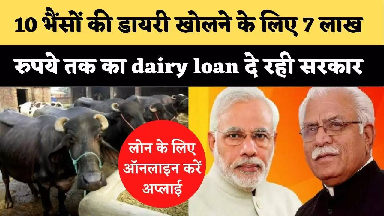 10 भैंसों की डायरी खोलने के लिए 7 लाख रुपये तक का dairy loan दे रही सरकार