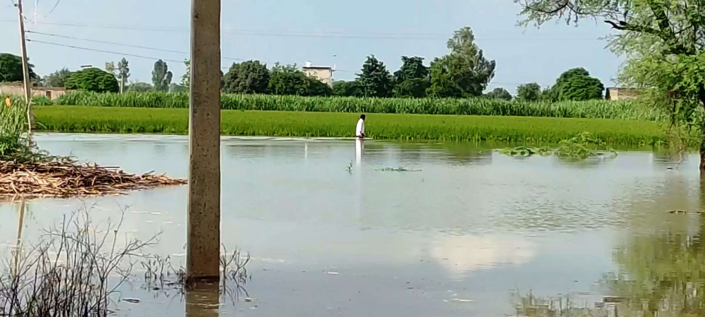 नहर टूटने से 3 गांव के किसानों की फसल बर्बाद, 28 घंटे बाद भी पानी निकालने के इंतजाम नहीं अधिकारी ने नहीं की मिडिया से बात