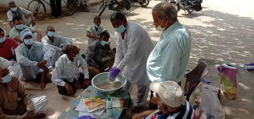 ग्वार की कम पैदावार होने का मुख्य कारण उखेड़ा बीमारी: डॉ. बीडी यादव
