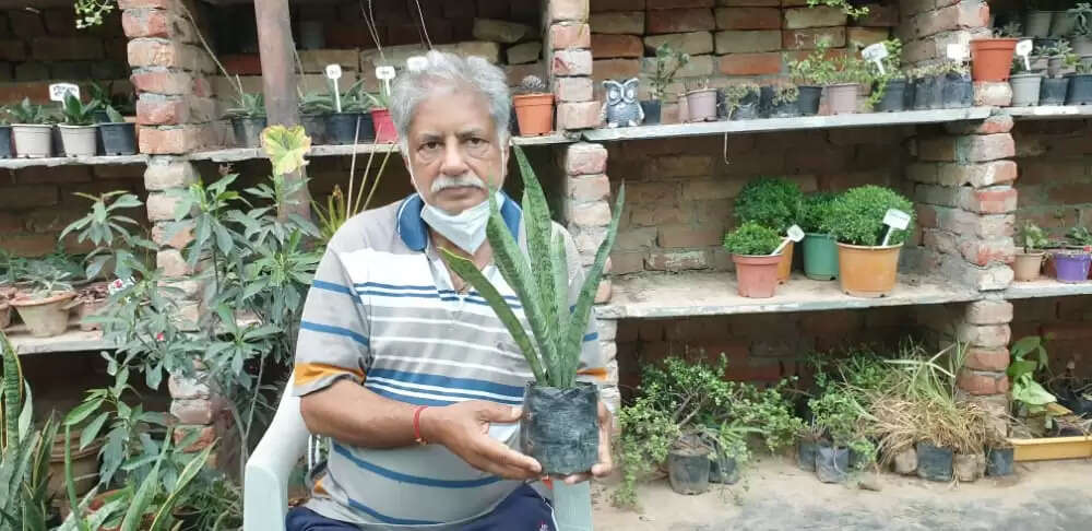 पहले खुद थे कोरोना पीड़ित, अब दिल खोल कर बांट रहे स्नैक प्लांट