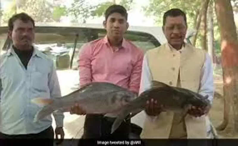 रुझानों में मिली आरजेडी को बढ़त, तो तेजस्वी के घर सामने मछली लेकर खडे हुए लोग
