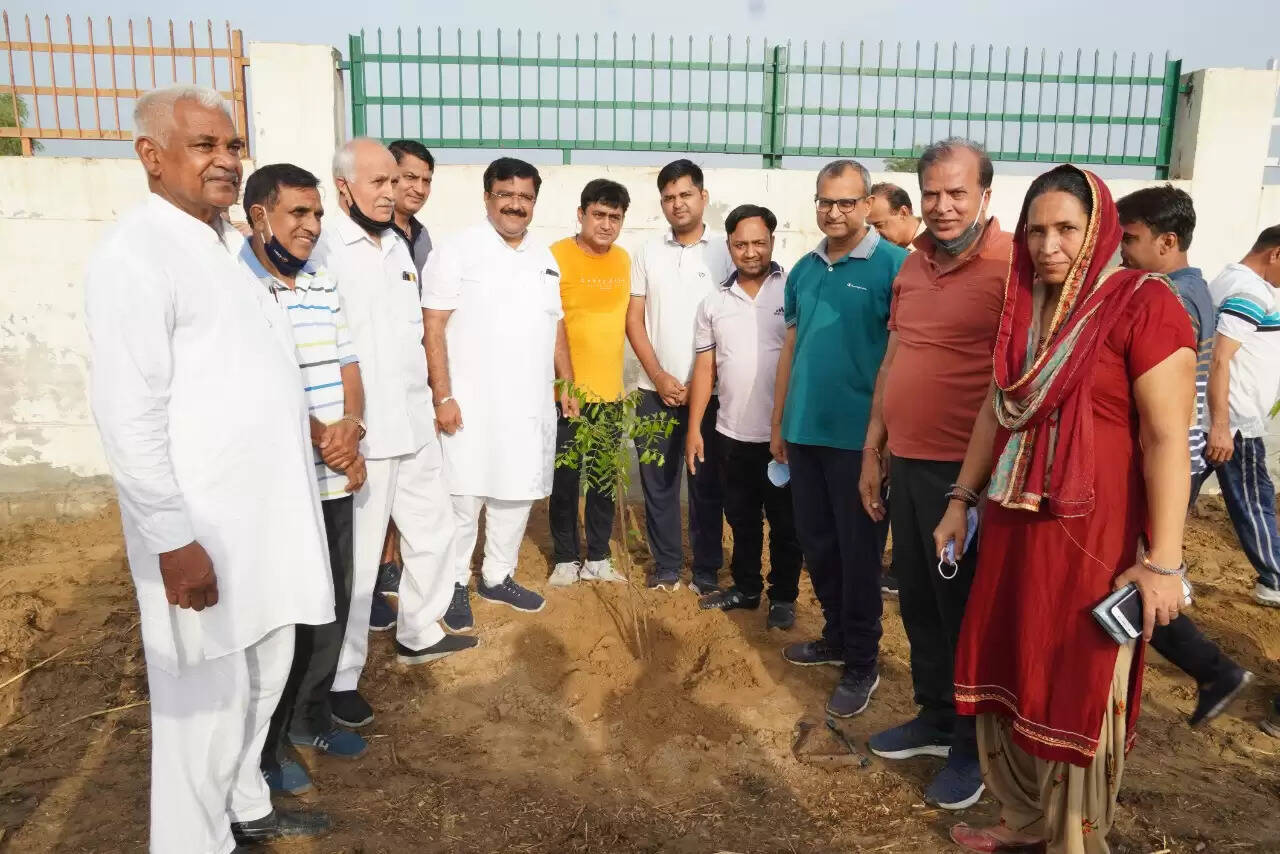 शहर में लगाएं जाएंगे एक लाख पौधे, महा पौधरोपण अभियान के तहत गौ अभ्यारण्य में लगाए 800 पौधे