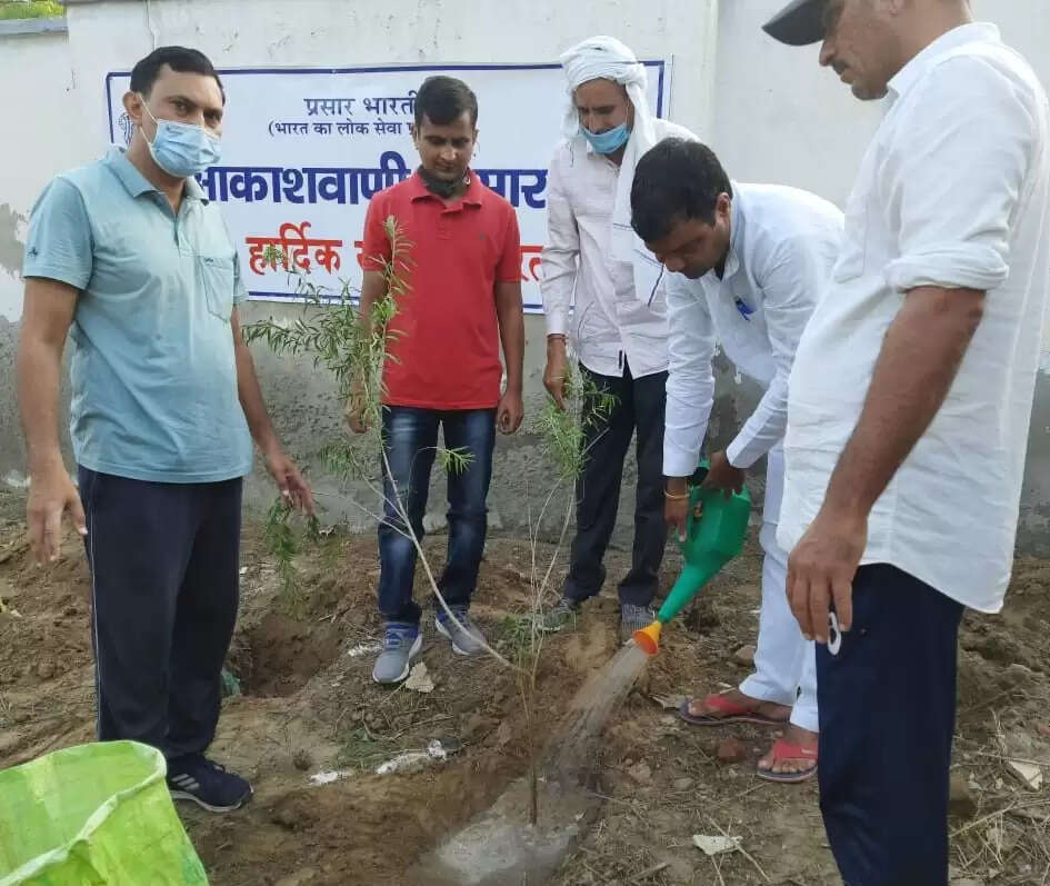 अकीरा मियावाकी जापानी वनीकरण तकनीक से 300 पौधे रोपित किए