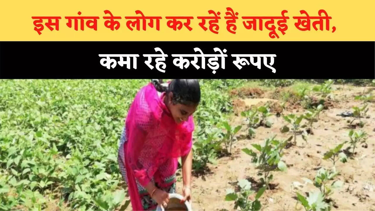 इस गांव के लोग कर रहें हैं जादूई खेती, कमा रहे करोड़ों रूपए