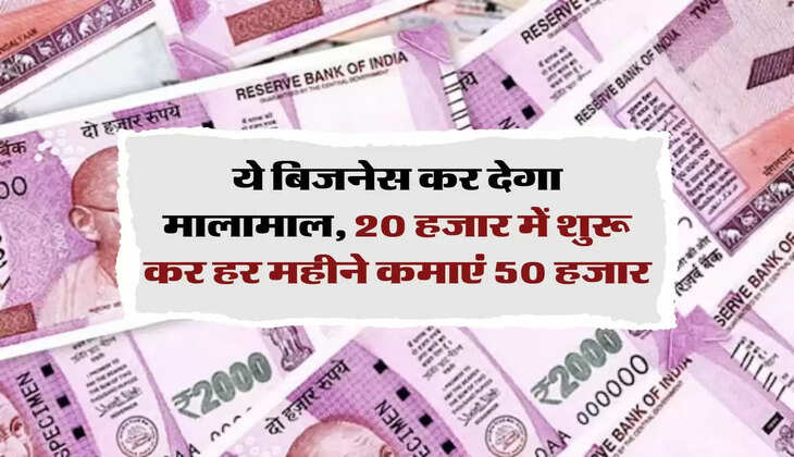 Business Ideas: ये बिजनेस कर देगा मालामाल, 20 हजार में शुरू कर हर महीने कमाएं 50 हजार