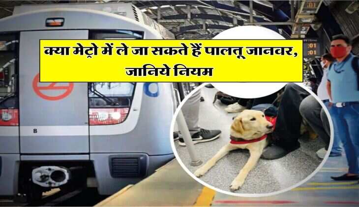 Delhi NCR : क्या मेट्रो में ले जा सकते हैं पालतू जानवर, जानिये नियम