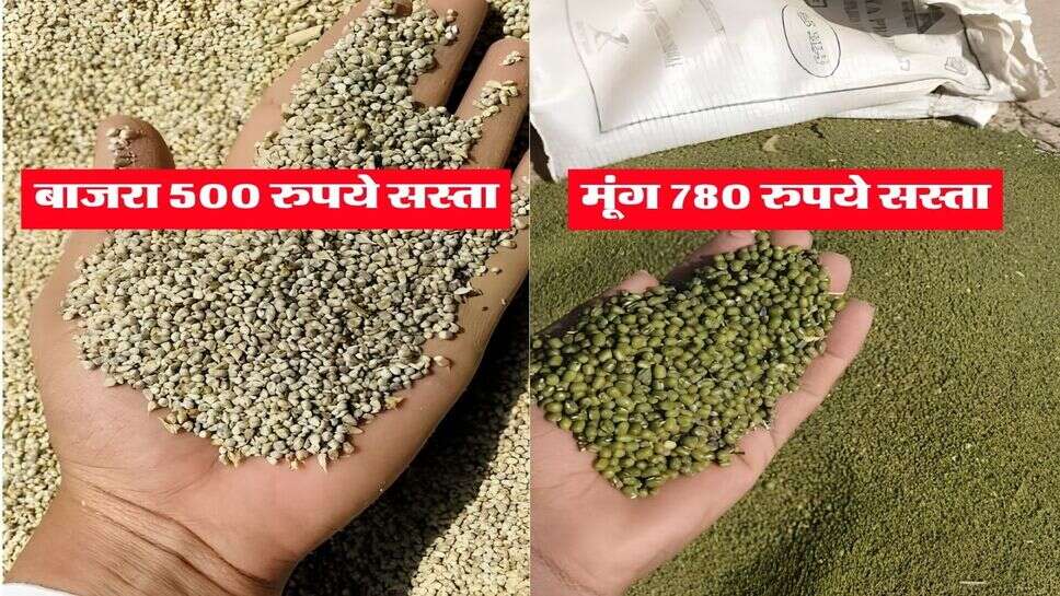 Mandi Update : बाजरा 500 रुपये और मूंग 780 रुपये सस्ता, किसानों को नहीं मिल रहा MSP