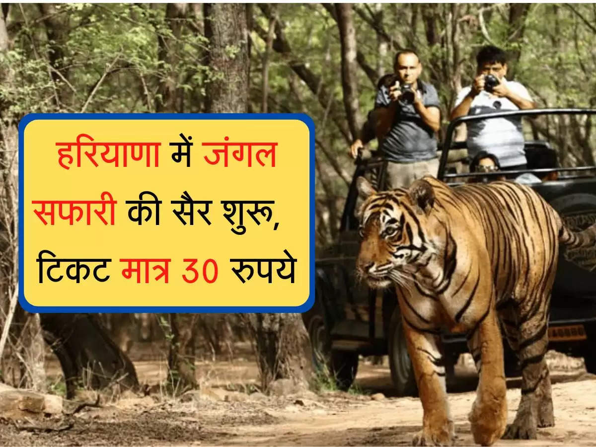 Haryana Jungle Safari : हरियाणा में जंगल सफारी की सैर शुरू, टिकट मात्र 30 रुपये
