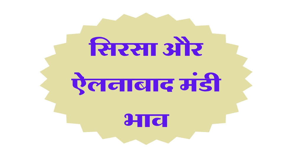 सिरसा और ऐलनाबाद मंडी भाव: नरमा, कपास, ग्वार और धान के ताजा रेट