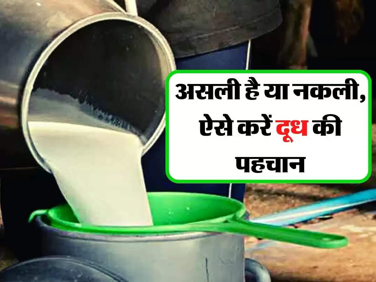 Fake and Real Milk: जिस दूध को आप पी रहे हैं, वो असली है या नकली, ऐसे करें पहचान