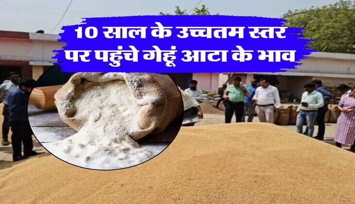 wheat flour rate today : 10 साल के उच्चतम स्तर पर पहुंचे गेहूं आटा के भाव