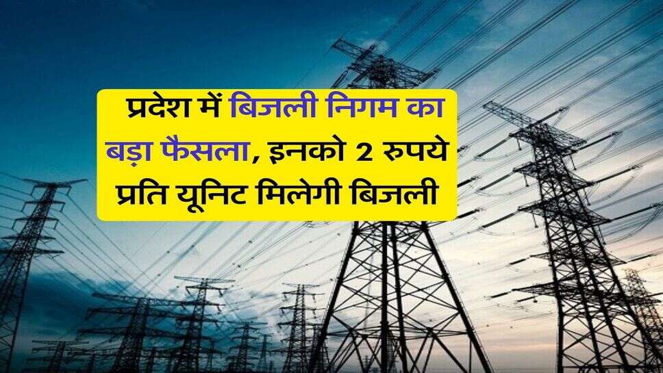 Haryana - प्रदेश में बिजली निगम का बड़ा फैसला, इनको 2 रुपये प्रति यूनिट मिलेगी बिजली
