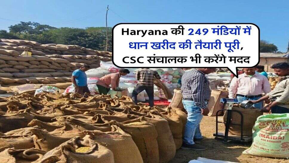 Haryana की 249 मंडियों में धान खरीद की तैयारी पूरी, CSC संचालक भी करेंगे मदद