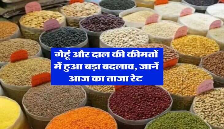 Mandi Bhav Today : गेहूं और दाल की कीमतों में हुआ बड़ा बदलाव, जानें आज का ताजा रेट&nbsp;