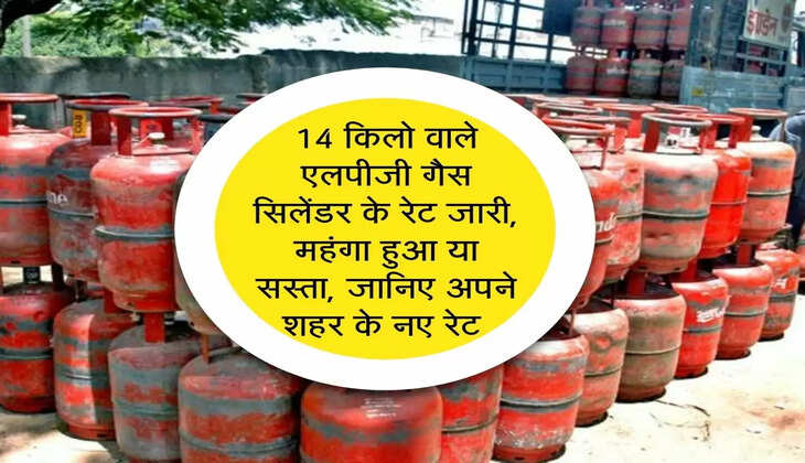 LPG Price : 14 किलो वाले एलपीजी गैस सिलेंडर के रेट जारी, महंगा हुआ या सस्ता, जानिए अपने शहर के नए रेट&nbsp;