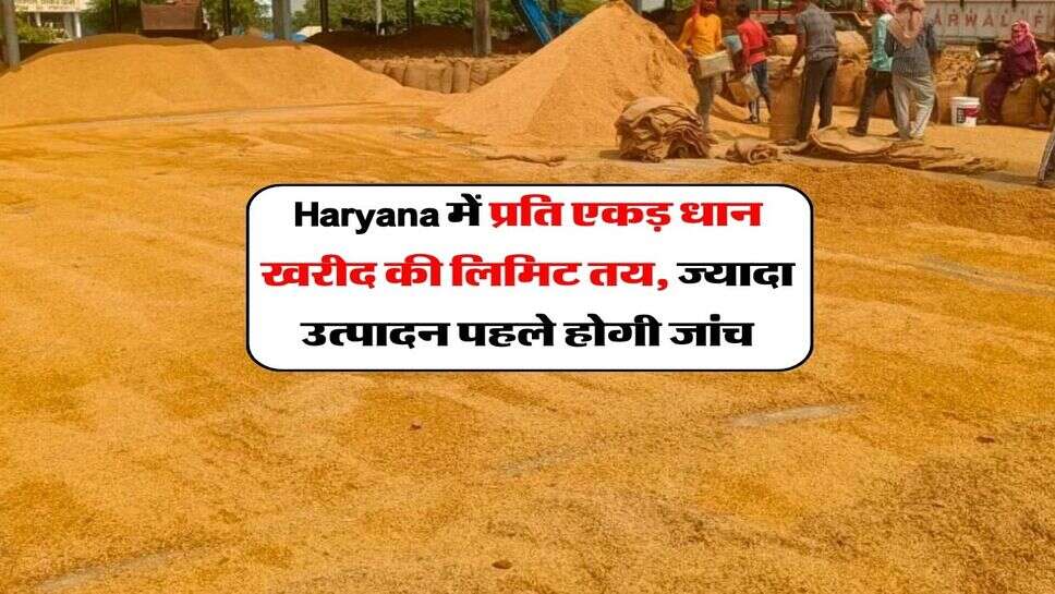 Haryana में प्रति एकड़ धान खरीद की लिमिट तय, ज्यादा उत्पादन पहले होगी जांच