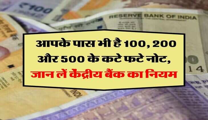 RBI Rules for Mutilated Notes :  आपके पास भी है 100, 200 और 500 के कटे फटे नोट, जान लें केंद्रीय बैंक का नियम