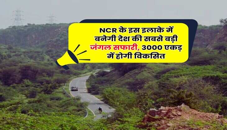 NCR के इस इलाके में बनेगी देश की सबसे बड़ी जंगल सफारी, 3000 एकड़ में होगी विकसित