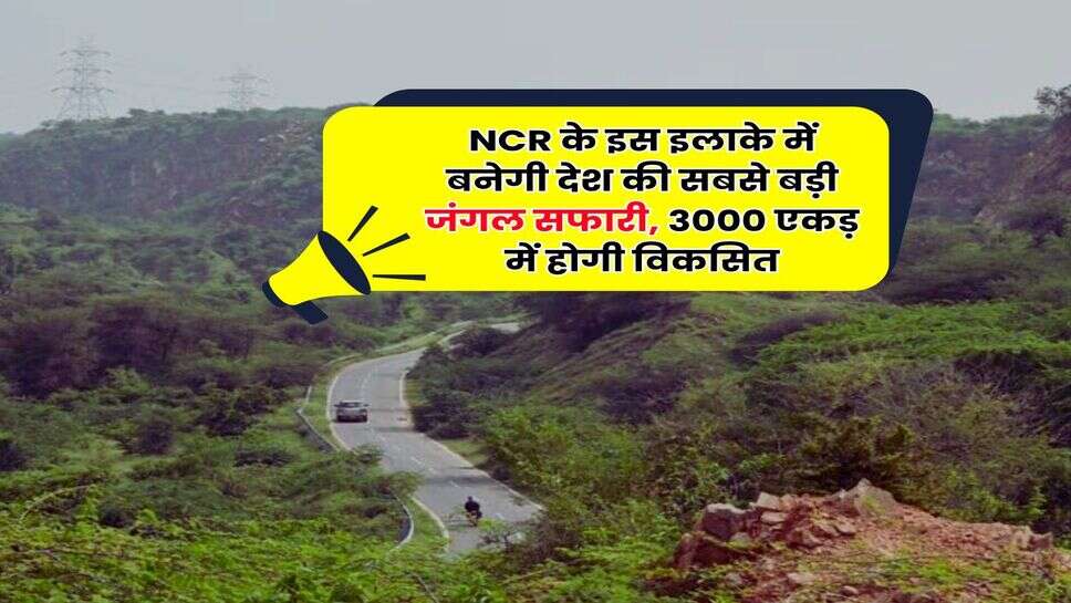 NCR के इस इलाके में बनेगी देश की सबसे बड़ी जंगल सफारी, 3000 एकड़ में होगी विकसित