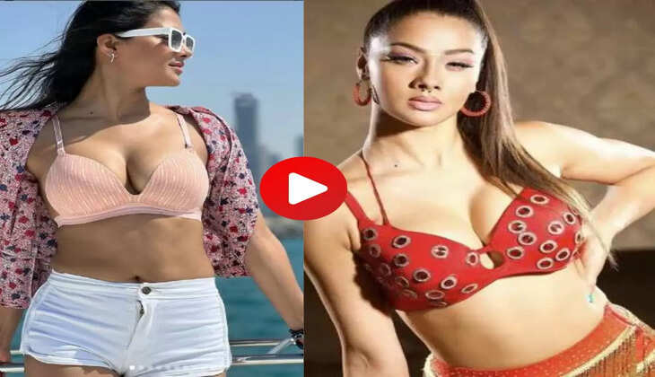 Bhojpuri Video: नम्रता मल्ला ने नागिन की तरह मटकाई कमर, फैंस का दिल करने लगा धक-धक