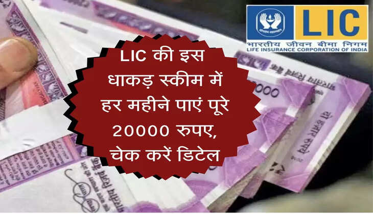 LIC की इस धाकड़ स्कीम में हर महीने पाएं पूरे 20000 रुपए, चेक करें डिटेल