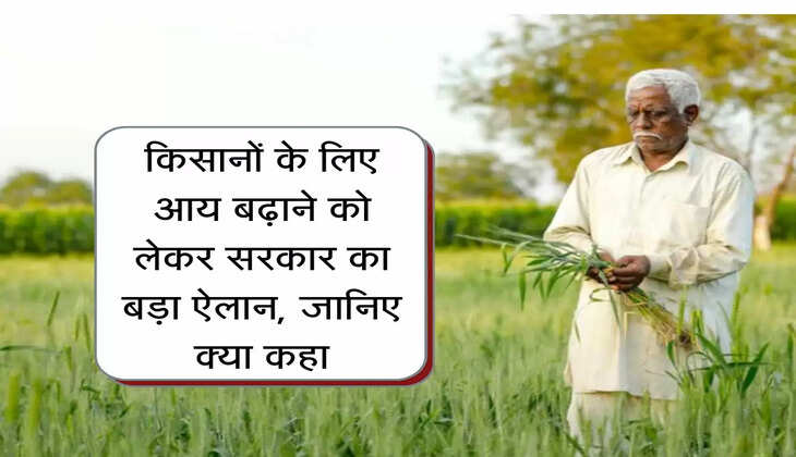 Kisan Yojana: किसानों के लिए आय बढ़ाने को लेकर सरकार का बड़ा ऐलान, जानिए क्या कहा