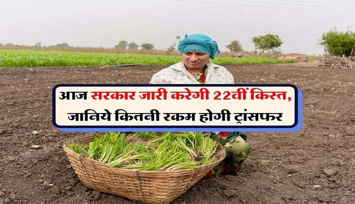 PM Kisan Yojana : आज सरकार जारी करेगी 22वीं किस्त, जानिये कितनी रकम होगी ट्रांसफर
