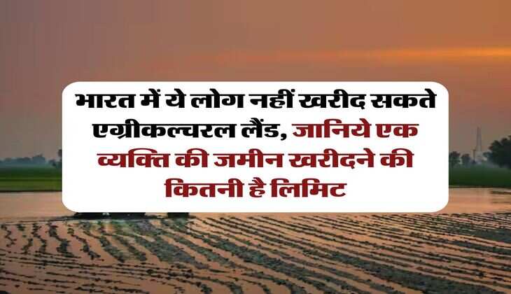 property knowledge :  भारत में ये लोग नहीं खरीद सकते एग्रीकल्चरल लैंड, जानिये एक व्यक्ति की जमीन खरीदने की कितनी है लिमिट
