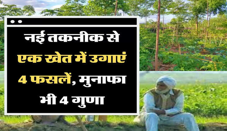 Multilayer Farming tips नई तकनीक से एक खेत में उगाएं 4 फसलें, मुनाफा भी 4 गुणा