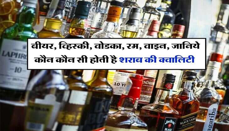 Alcohol : बीयर, व्हिस्&zwj;की, वोडका, रम, वाइन, जानिये कौन कौन सी होती है शराब की क्वालिटी, किसमें होता है ज्यादा नशा