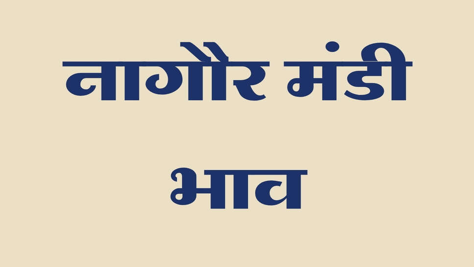 नागौर मंडी भाव 25 सितंबर 2026: ज्वार, सौंफ और इसबगोल में तेजी