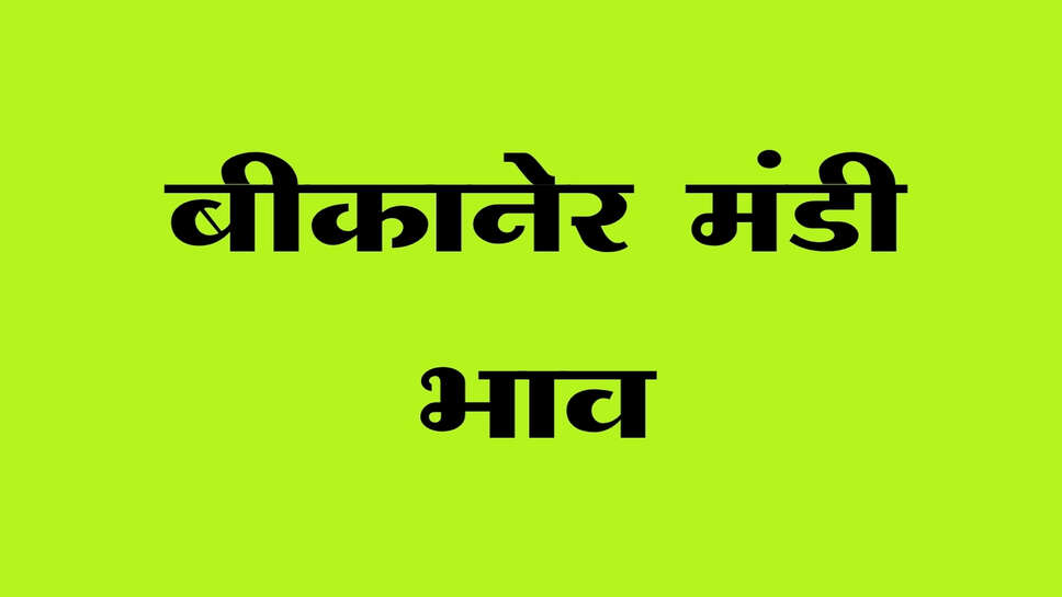 बीकानेर अनाज मंडी भाव 13 अक्टूबर 2026: ग्वार, मूंगफली, मोठ, मूंग और जीरा के ताजा भाव