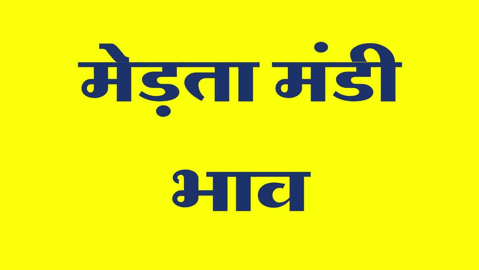 मेड़ता मंडी भाव 24 सितंबर 2026: मूंग, चना, सुवा और ग्वार में तेजी, बाकी फसलों के भाव स्थिर