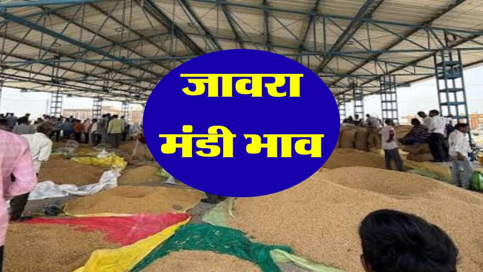 जावरा मंडी भाव 23 अक्टूबर 2026: सोयाबीन, गेहूं, चना, मूंग और लहसुन के ताजा भाव