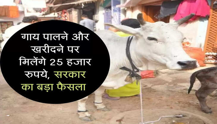 गाय पालने और खरीदने पर मिलेंगे 25 हजार रुपये, सरकार का बड़ा फैसला&nbsp;