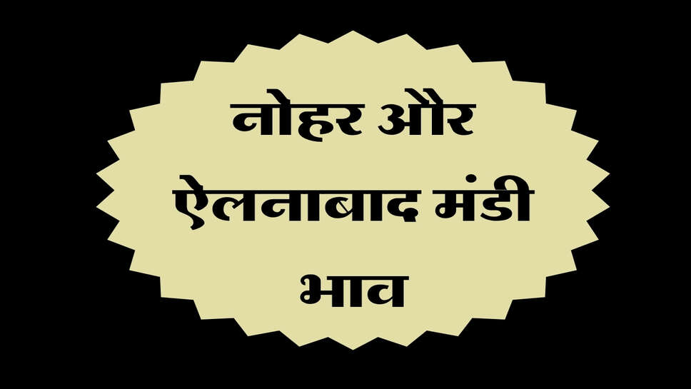 नोहर और ऐलनाबाद मंडी भाव 12 अक्टूबर 2026: नरमा, ग्वार, सरसों और धान के ताजा भाव