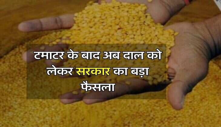 Dal Price : टमाटर के बाद अब दाल को लेकर सरकार का बड़ा फैसला, जानिए अब कितने रुपये किलो मिल रही