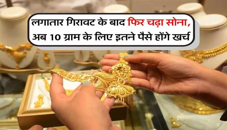 Gold Rates : लगातार गिरावट के बाद फिर चढ़ा सोना, अब 10 ग्राम के लिए इतने पैसे होंगे खर्च