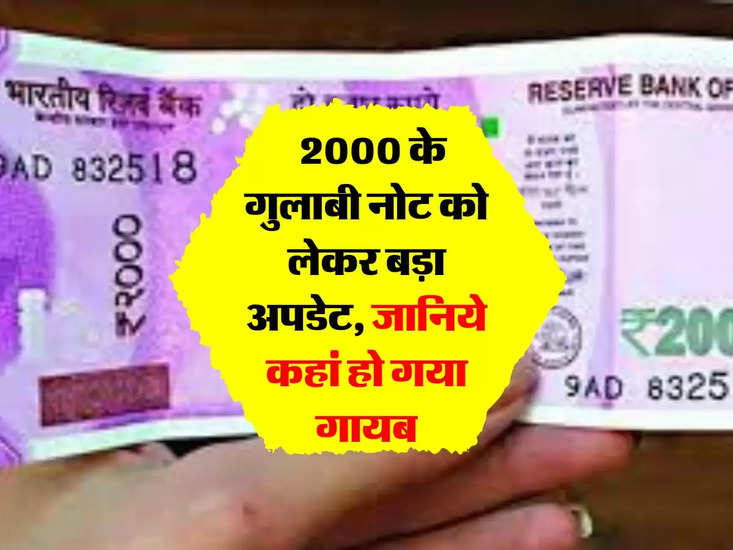 2000 Rupee Notes:  2000 के गुलाबी नोट को लेकर बड़ा अपडेट, जानिये कहां हो गया गायब