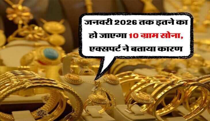 Sone ki Kimat : जनवरी 2026 तक इतने का हो जाएगा 10 ग्राम सोना, एक्सपर्ट ने बताया कारण
