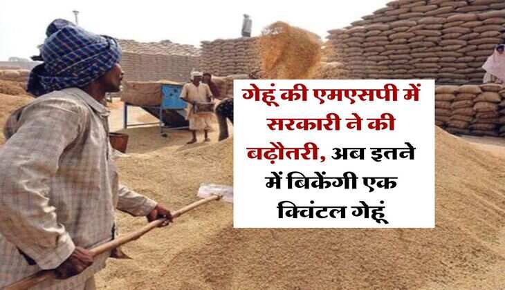 Wheat Price : गेहूं की एमएसपी में सरकारी ने की बढ़ौतरी, अब इतने में बिकेंगी एक क्विंटल गेहूं