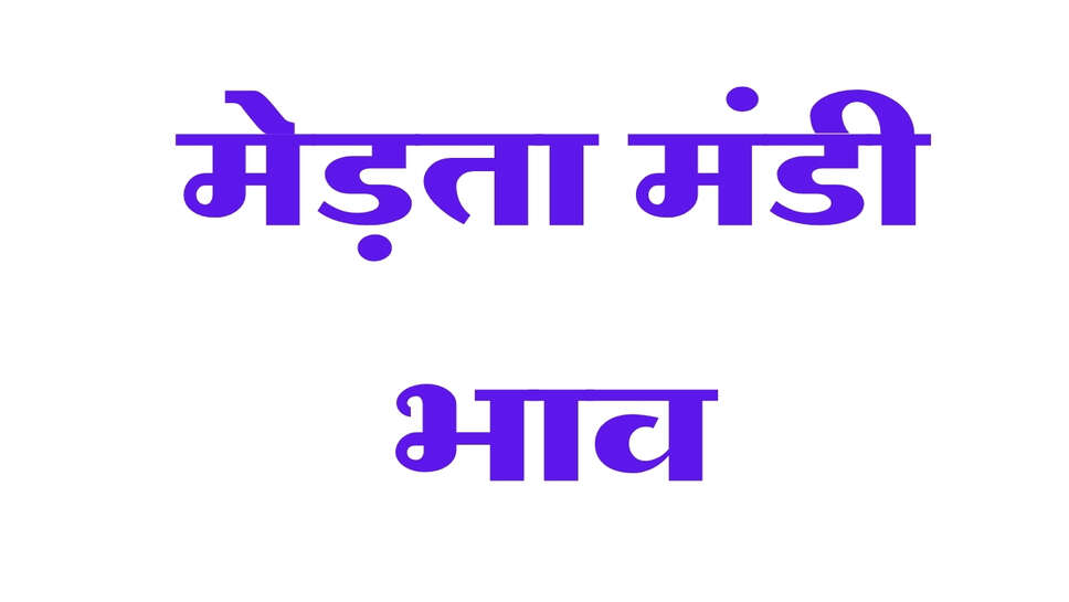 मेड़ता मंडी भाव 12 अक्टूबर 2026: ग्वार, सुआ और असालिया में तेजी, देखें मूंग, चना और जीरा के ताजा भाव