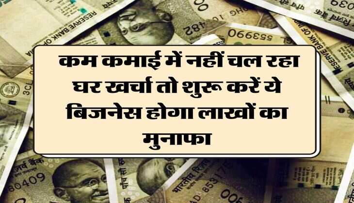 Business Idea: कम कमाई में नहीं चल रहा घर खर्चा तो शुरू करें ये बिजनेस होगा लाखों का मुनाफा