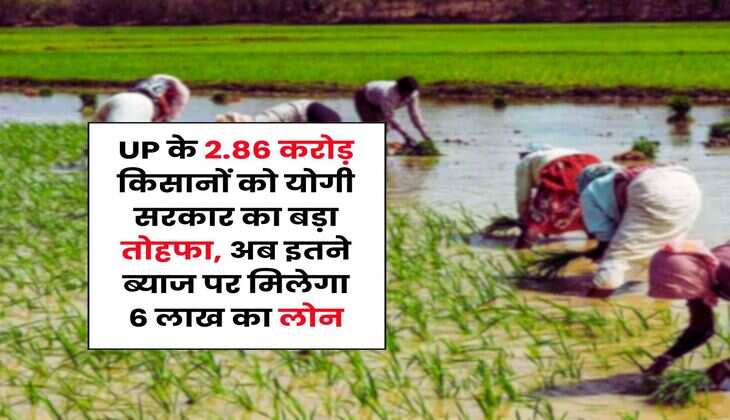 UP के 2.86 करोड़ किसानों को योगी सरकार का बड़ा तोहफा, अब इतने ब्याज पर मिलेगा 6 लाख का लोन