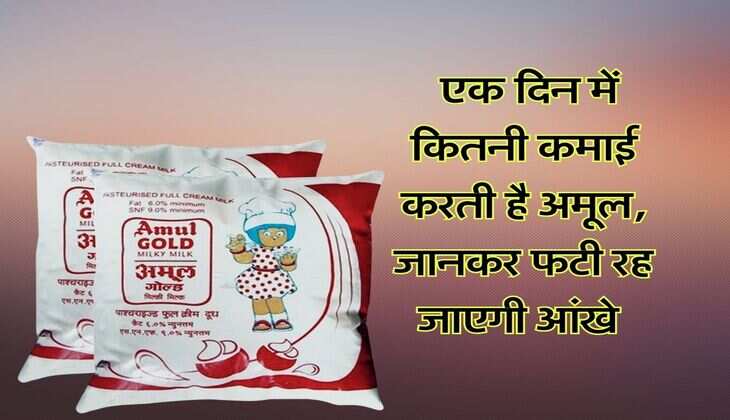 Amul Success Story : एक दिन में कितनी कमाई करती है अमूल, जानकर फटी रह जाएगी आंखे, 250 लीटर दूध की थी शुरूआत