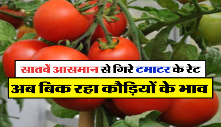 अब बिक रहा कौड़ियों के भाव 