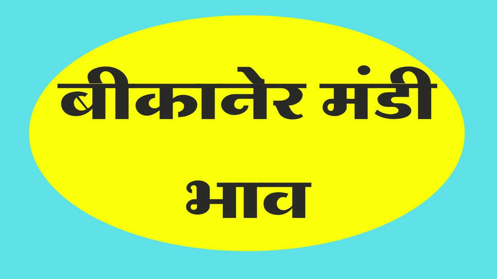बीकानेर अनाज मंडी भाव 15 अक्टूबर 2026: ईसबगोल और खड़बा में तेजी, मूंगफली-जीरा में मंदी